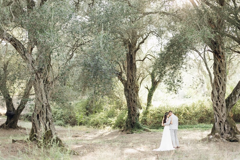 Treehouse Honeymoon